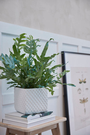 Lene Bjerre REA – Spara upp till 70% på inredning!