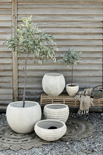 Flora Olivträd H73 Ø13 cm. grön