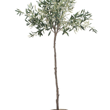 Flora blomma H160 Ø24 cm. grön