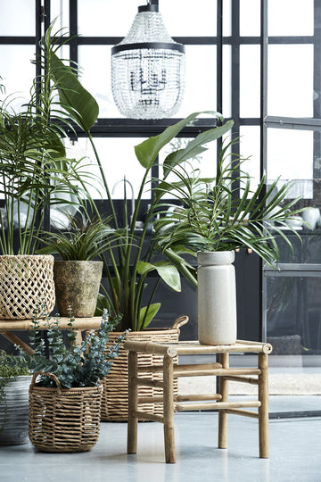 Flora blomma H130 Ø cm. grön