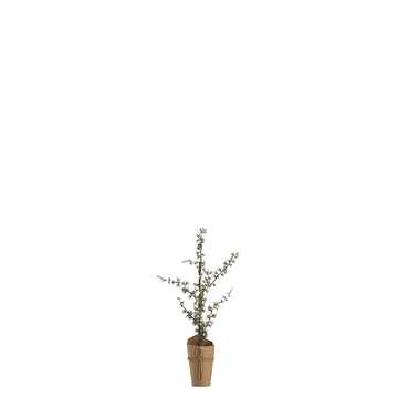 Pinea LED-julträd H60 grön