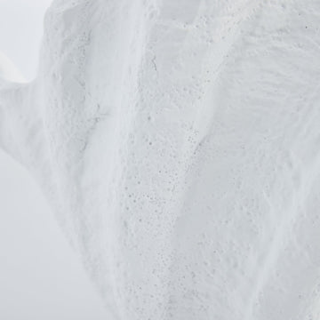 Shella dekoration H23 Ø cm. vit