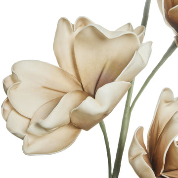 Happia skumblomma dekoration H17 cm. sand