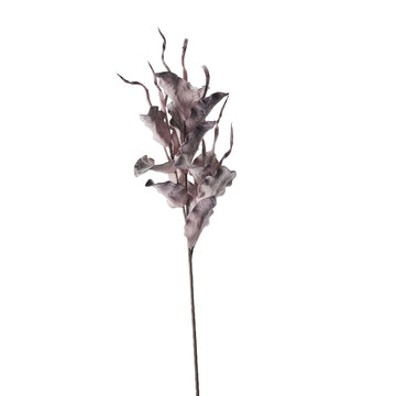 Happia skumblomma 90 cm lilla