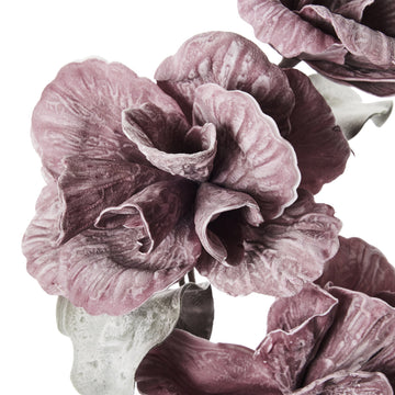 Happia skumblomma 90 cm lilla