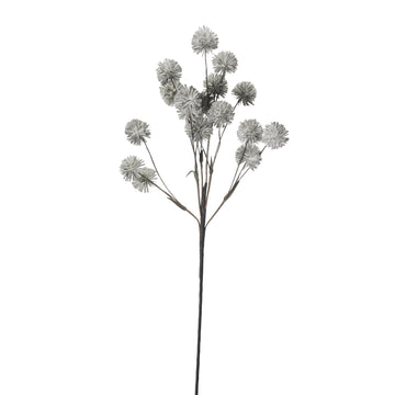 Happia skumblomma 90 cm grå