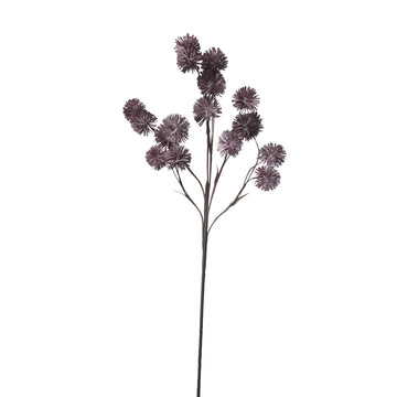 Happia skumblomma 90 cm rosa