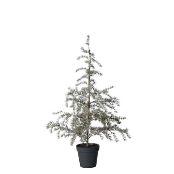 Cedille träd H120 cm. grön