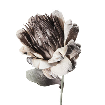 Happia skumblomma 77 cm sand