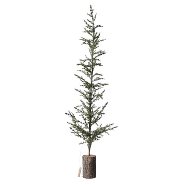 Cedira tree H150 cm. green