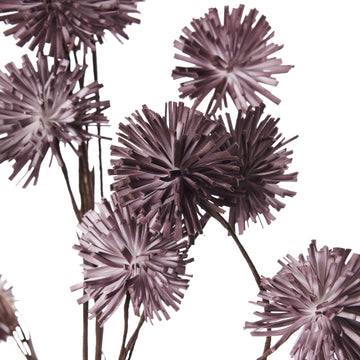 Happia skumblomma 90 cm rosa