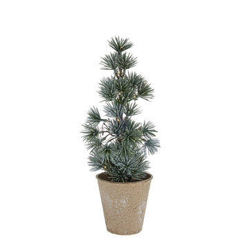 Cedille träd H29 cm. grön