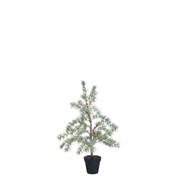 Cedille träd H60 cm. grön