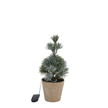 Cedille träd H22 cm. grön