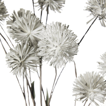 Happia skumblomma 90 cm grå