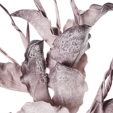 Happia skumblomma 90 cm lilla