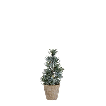 Cedille träd H17 cm. grön