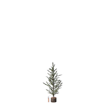 Cedira träd H60 cm. grön