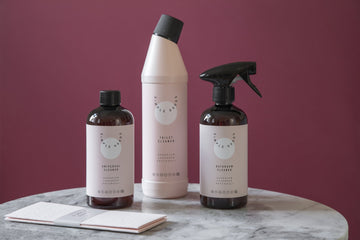 Cleaning Svampduk 2 st.