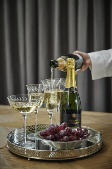 Dauphine champagneglas 18 cl. transparent