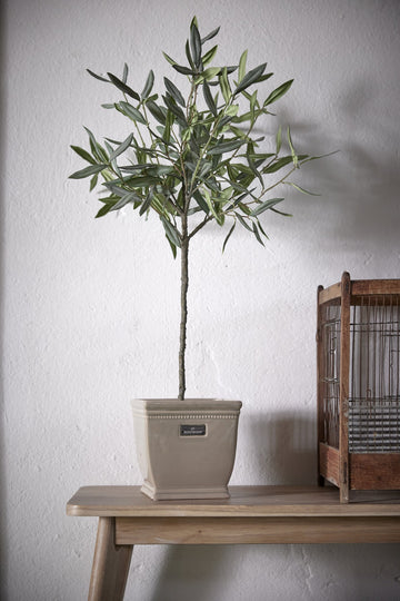 Flora Olivträd H73 Ø13 cm. grön