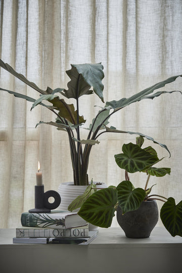 Catharinia kruka H20 Ø22 cm. benvit