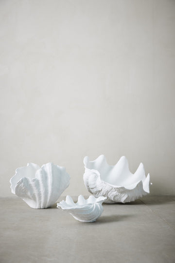Shella dekoration H23 Ø cm. vit