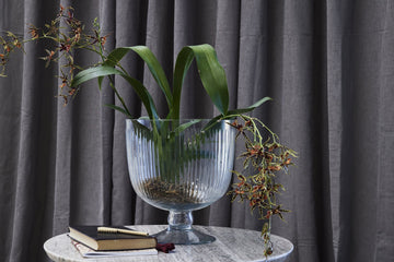 Carla vas H16,5 cm. transparent