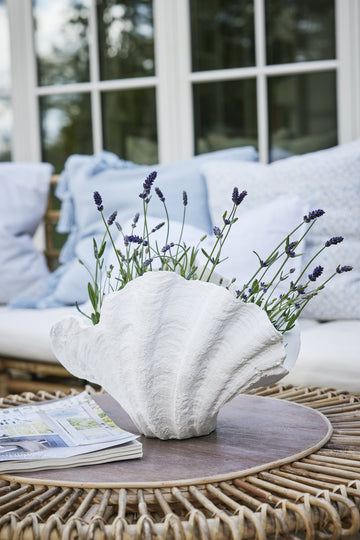 Shella dekoration H23 Ø cm. vit