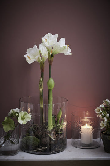 Carla vas H30 cm. transparent