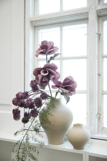 Happia skumblomma 90 cm lilla