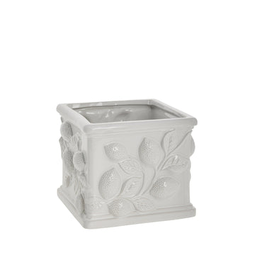 Limone blomkruka D20 H15,8 Vit