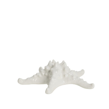Shellille dekoration sjöstjärna D16.5 H5.5 Vit