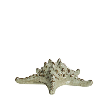 Shellille dekoration sjöstjärna D16.5 H5.5 Linne