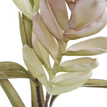 Happia blomsterdekoration H4 cm. Ros