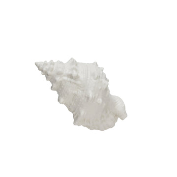 Shellille dekoration konkylia D18 H9.5 Vit