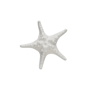 Shellille dekoration sjöstjärna D16.5 H5.5 Vit