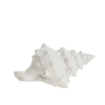 Shellille dekoration konkylia D18 H9.5 Vit