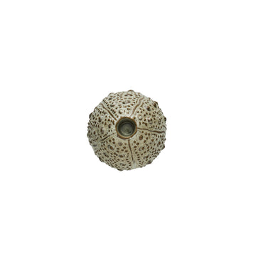 Shellille ljusstake sjöborre D10 H7.5 Linne