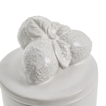 Limoneburk D9,5 H16 Vit