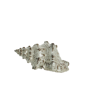 Shellille dekoration konkylia D15 H7.5 Linne