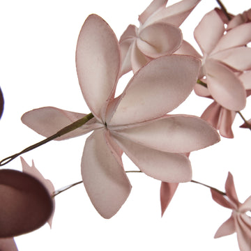 Happia blomsterdekoration H7 cm. Rosbrun