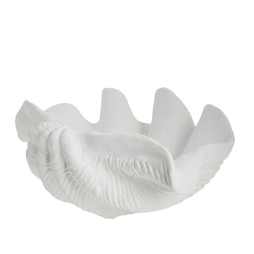 Shelladekoration snäcka 40,5x27,5 cm. Vit