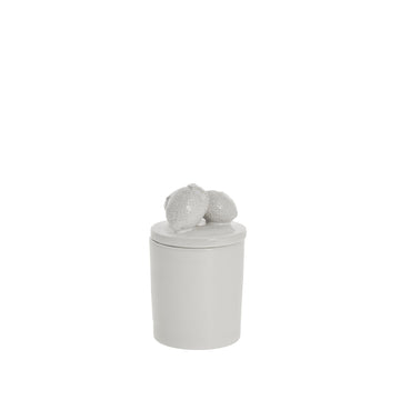 Limoneburk D9,5 H16 Vit