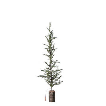 Cedira träd H120 cm. grön