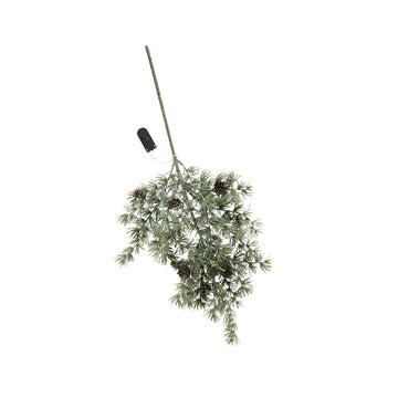 Cedille kvist H7 cm. grön