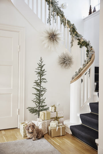 Cedira tree H150 cm. green