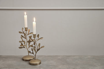 Missia ljushållare 25 cm. ljust guld