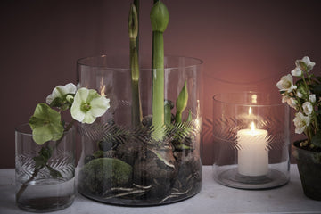 Carla vas H30 cm. transparent