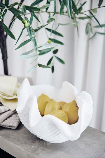 Shelladekoration snäcka 40,5x27,5 cm. Vit